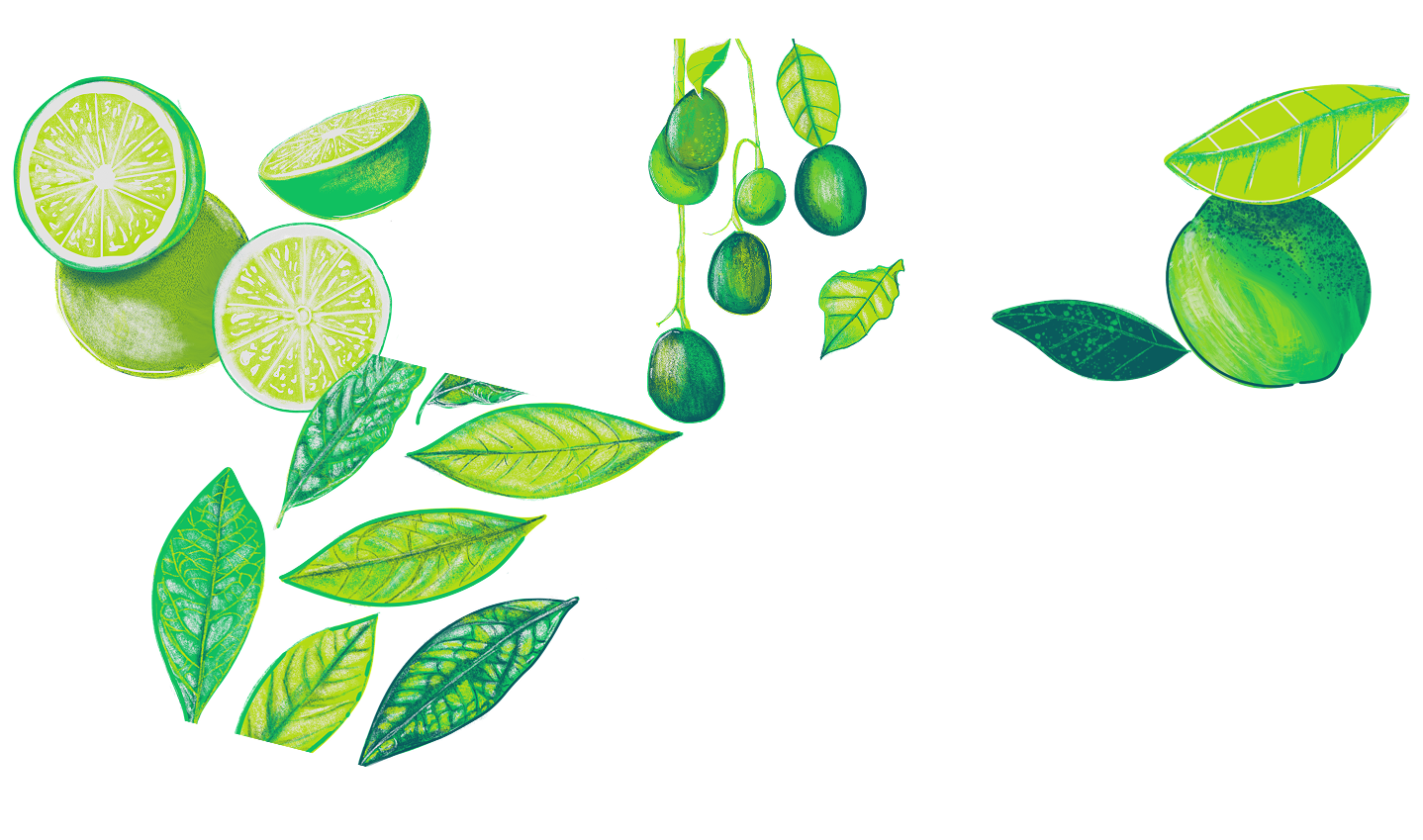 tur adipisicing elit. Repudiandae volutur adipisicing elit. Repudiandae volutur adipisicing elit. Repudiandae volutur adipisicing elit. Repudiandae volu