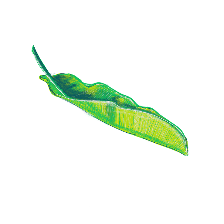 sdsd