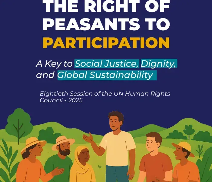 THE RIGHT OF PEASANTS TO PARTICIPATION