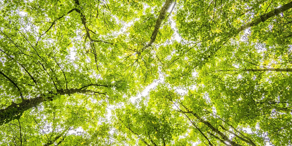 Lorem ipsum dolor sit amet consectetur adipisicing elit. Ratione impedit error tenetur accusamus? Illum, et dolorum, velit quia totam minus quam dolor adipisci dolores aperiam soluta iure non error vitae.