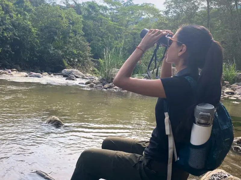 ¿Dónde vivirán las abejas en 44 años? Estudiante de la Javeriana Cali gana la beca Colombia Biodiversa para descubrirlo
