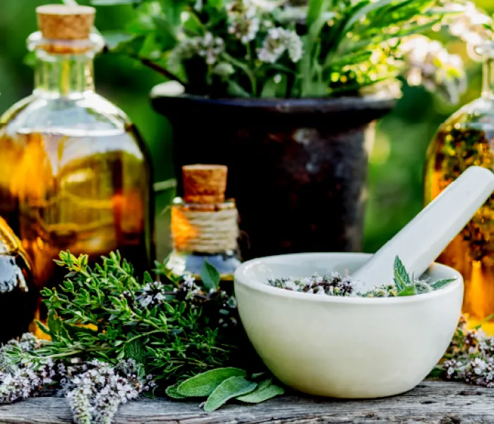 Diplomado online Medicina integrativa y bases homeopáticas con énfasis en homotoxicología Diplomado online Medicina integrativa y bases homeopáticas con énfasis en homotoxicología